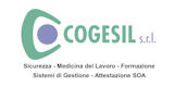 Cogesil